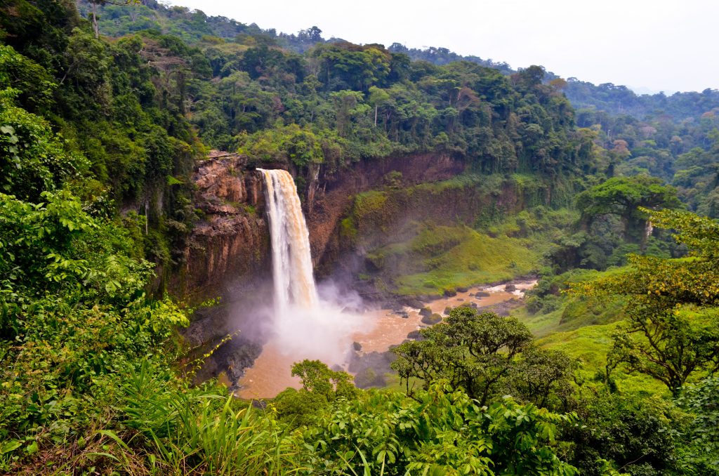 cameroon-dual-citizenship